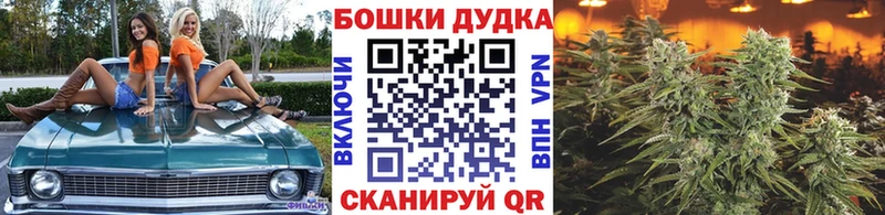 Купить закладку Псилоцибиновые грибы  Марихуана  Мефедрон  Гашиш  Клинцы