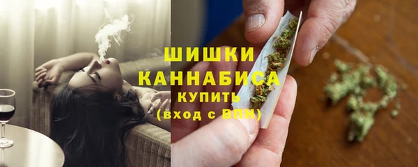 винт Каменка
