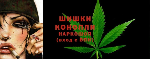 винт Каменка