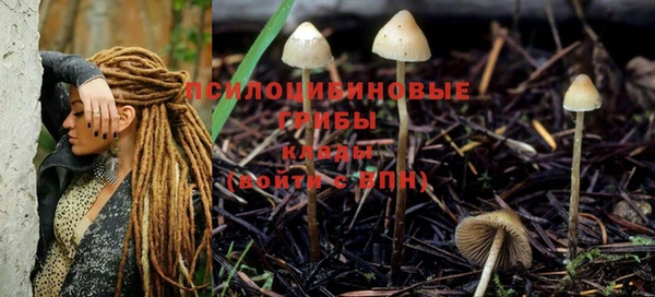 винт Каменка