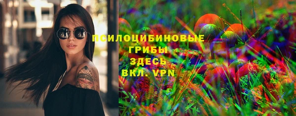 винт Каменка