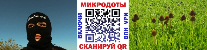 Галлюциногенные грибы мухоморы  Купить закладки  Клинцы 